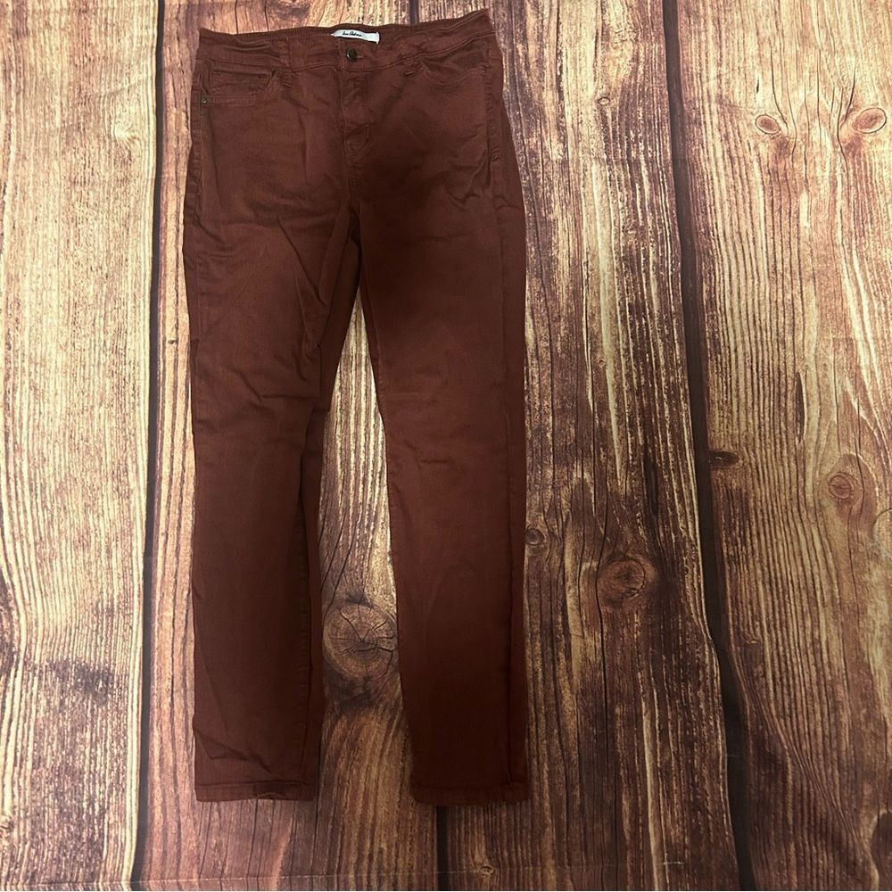Women’s Sam Edelman The Kitten Skinny Midrise 28 in inseam size 28 burnt orange